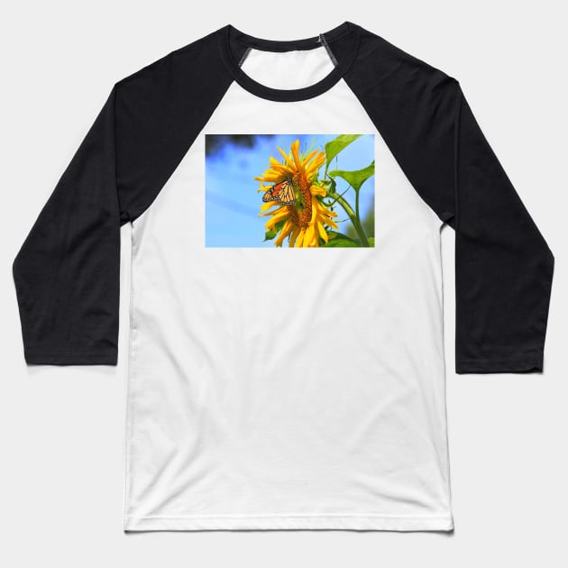 Monarch Butterfly closeup on a yellow Kansas Sunflower. Baseball T-Shirt by ROBERTDBROZEK